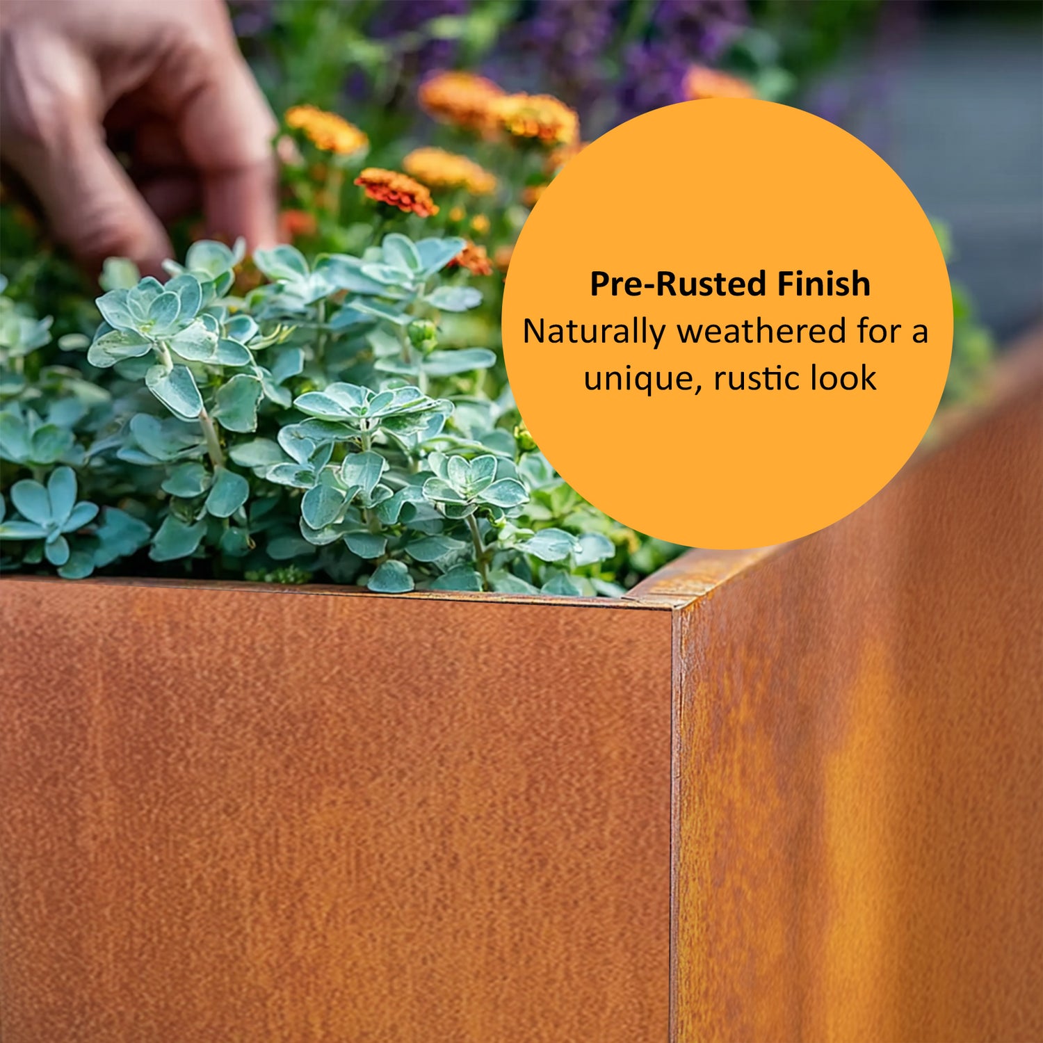 Corten Steel Cube Planter Pre-Rusted 50cm x 50cm