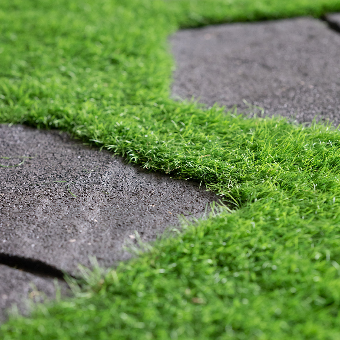 Eco-Friendly Garden Stepping Stones - Walkway