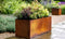 Planters