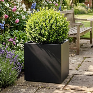 Black Galvanised Cube 50cm x 50cm