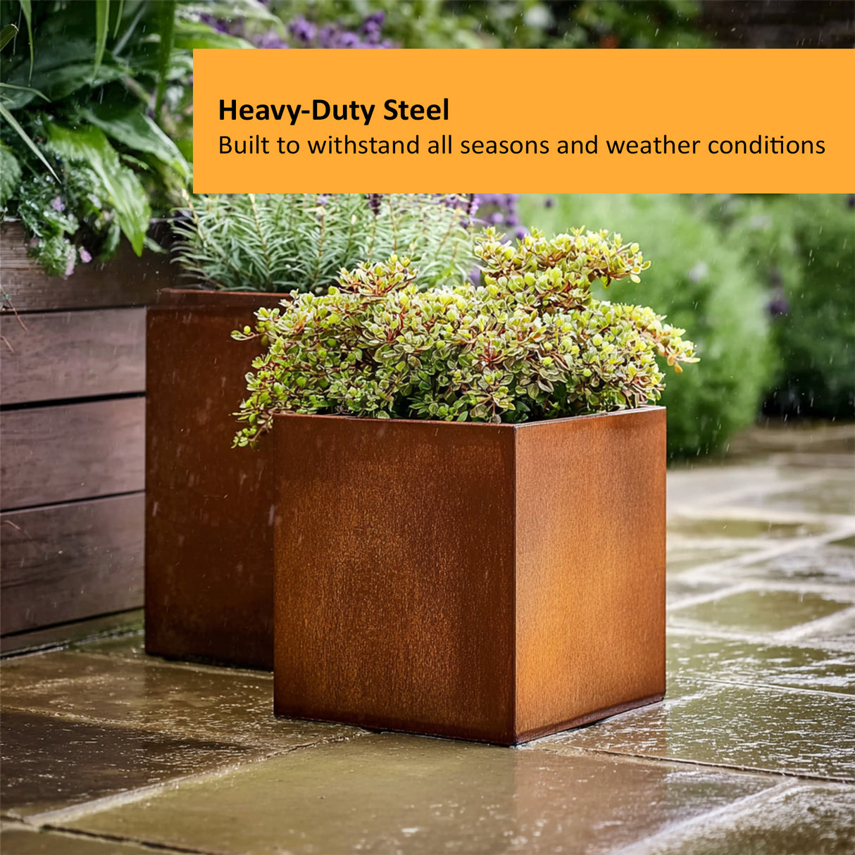 Corten Steel Cube Planter Pre-Rusted 50cm x 50cm