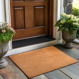 Coir Non-Shed Synthetic Doormat