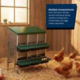 Metal Chicken Nest Box – Sturdy, Hygienic & Organised