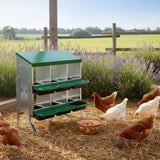 Metal Chicken Nest Box – Sturdy, Hygienic & Organised