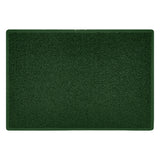 Indoor Spaghetti Doormat Plain - Green