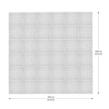 Nicoman Snowboard Training Mat Set for Off Snow Practice