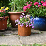 Rusty Plant Pots - Garden Planters
